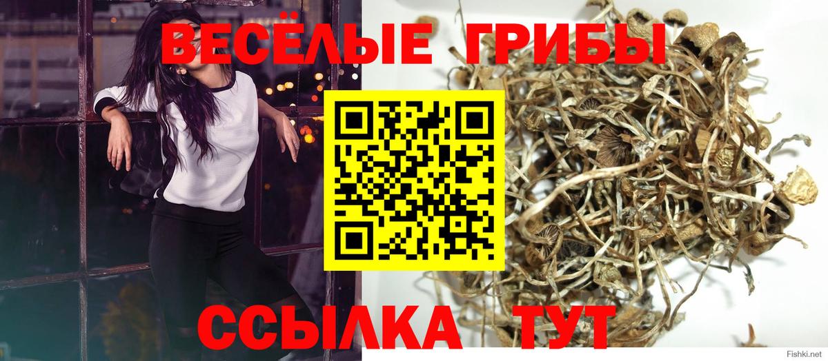 Псилоцибиновые грибы мицелий  Вход с VPN  магазин продажи   Семёнов 